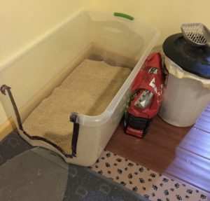 Litter Box from storage tote