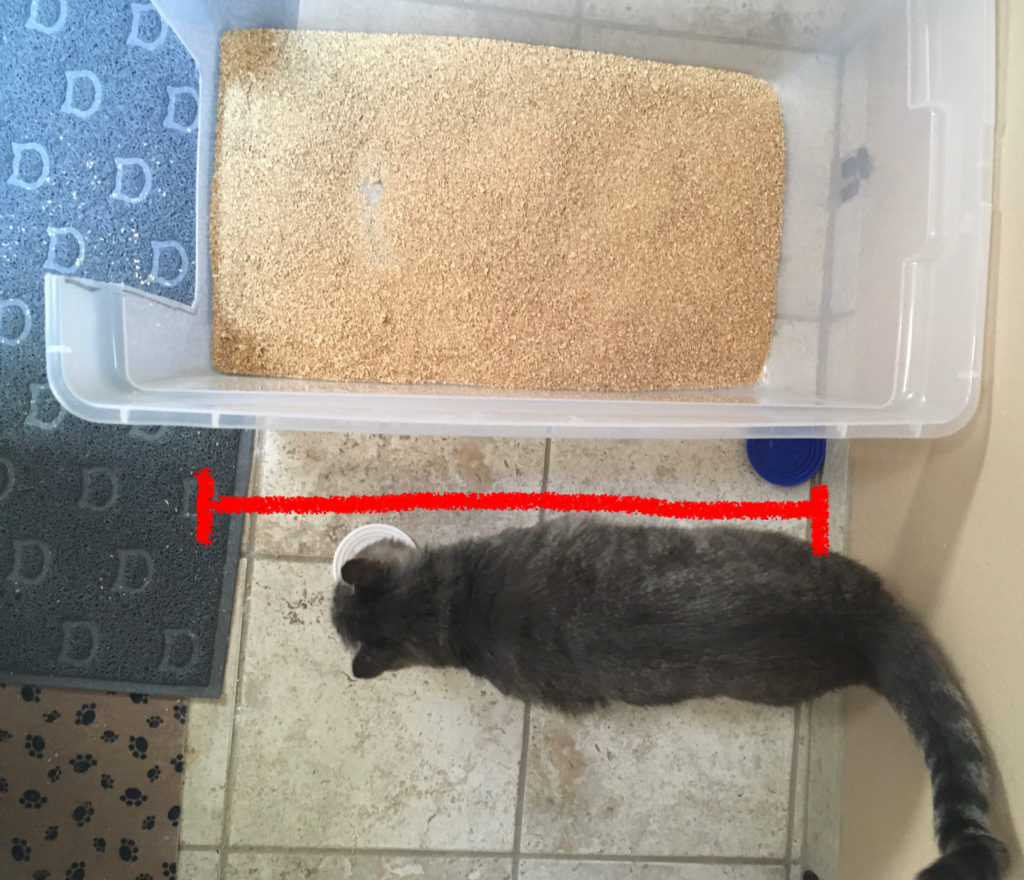 When your cat thinks outside the box: The environment