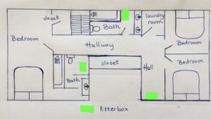 House map cat resources