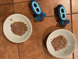 Daily meals for a cat