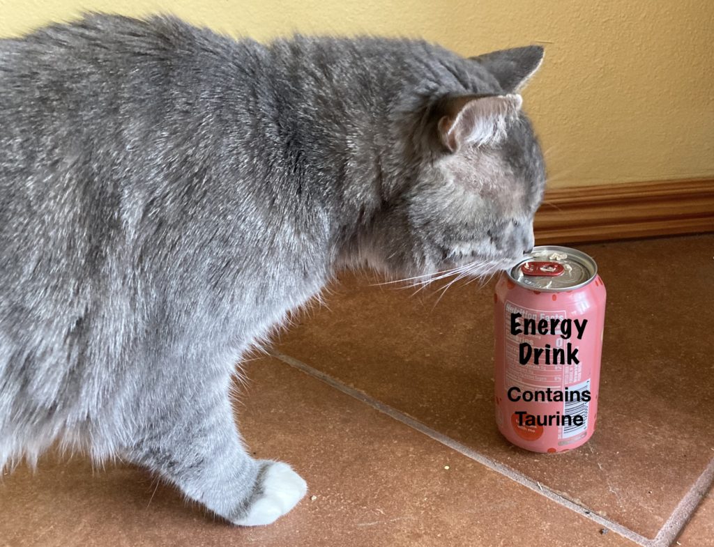 Cats need Taurine!