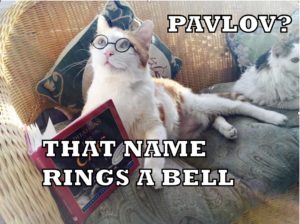 Pavlov meme