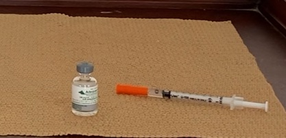 Arthritis supplements for cats - do they work?