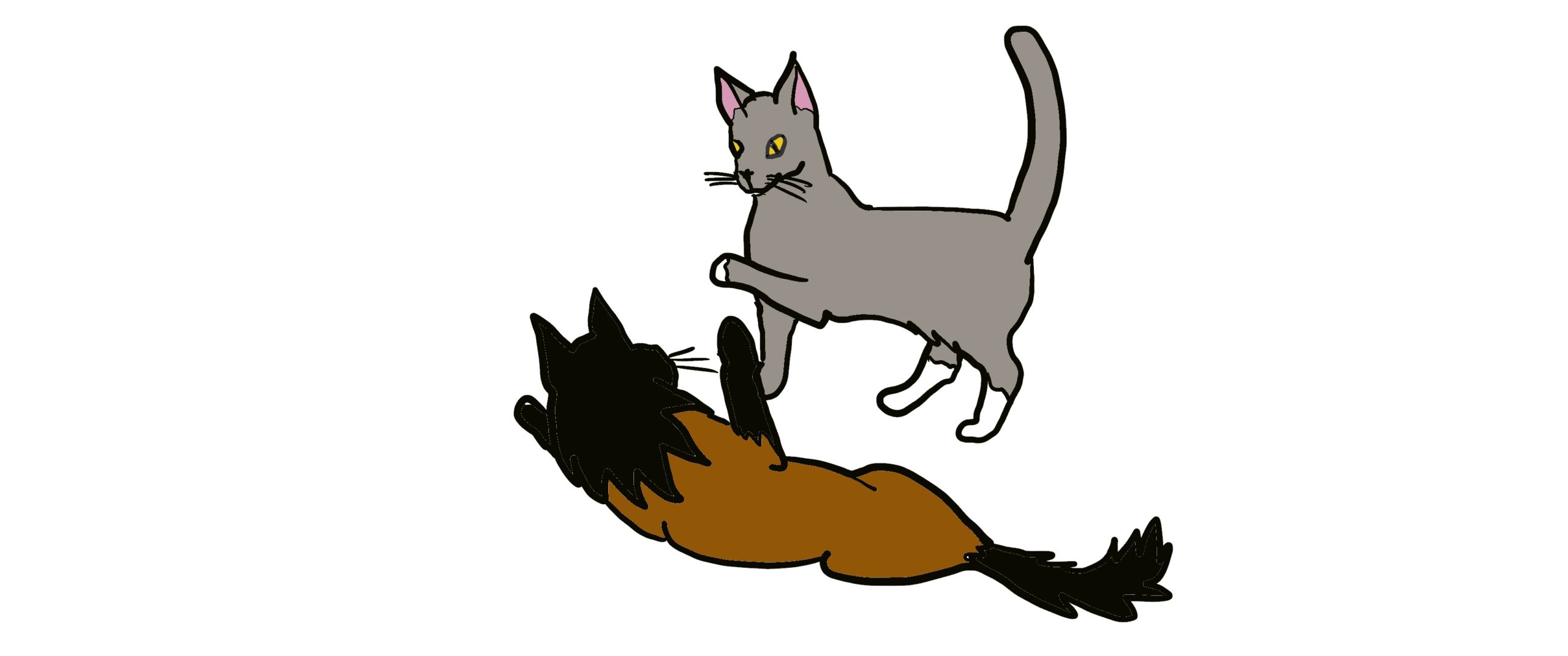 Cats at play- a guide to mutual social play between cats