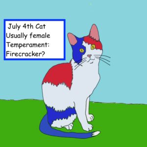 Cat with July 4th colors