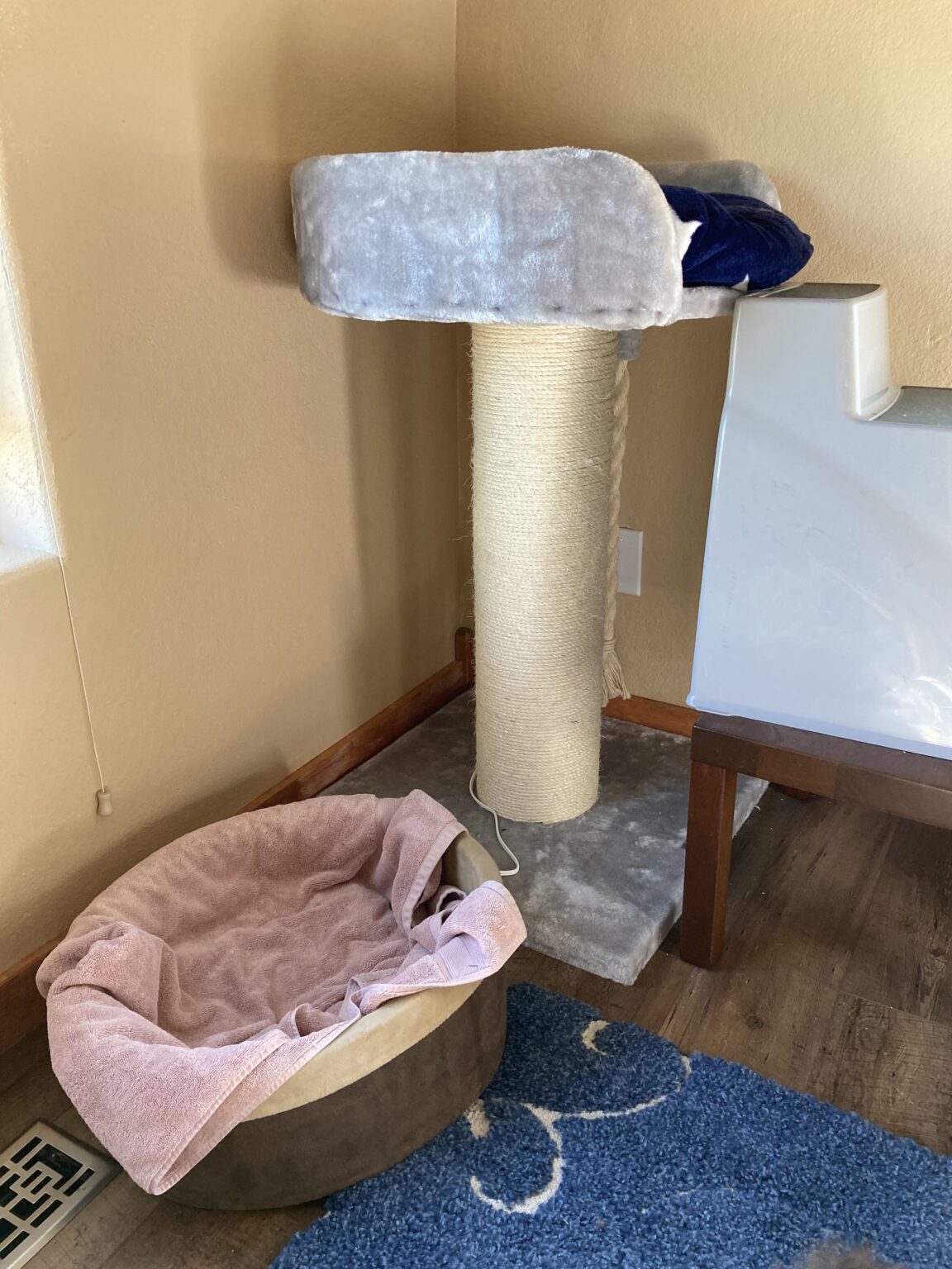 Cats and Scratching Part 2 The Purrfect Scratching Post